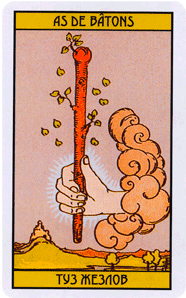 Карта Таро Туз Жезлов
